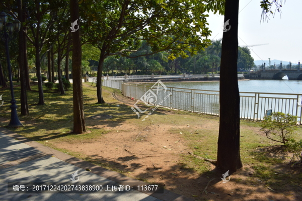 黃江人民公園湖邊樹(shù)蔭圖片