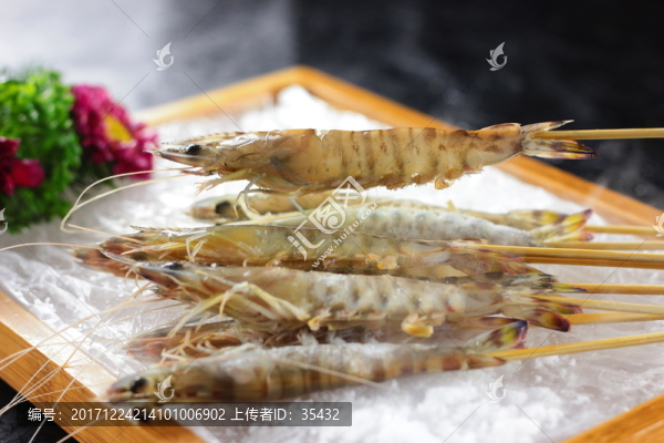 斑節(jié)蝦姿造