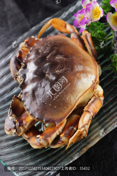 珍寶蟹