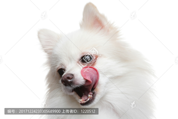 緊密的