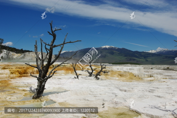 龐大的梯田，黃石國(guó)家公園，懷俄明州