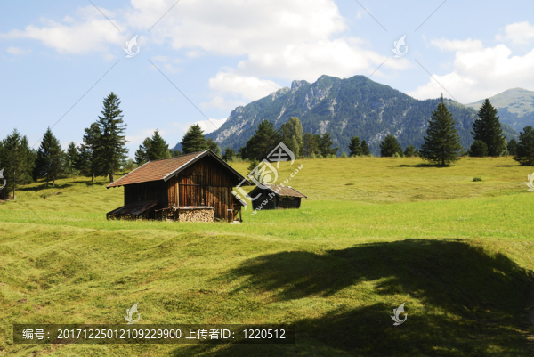山