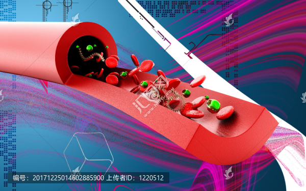 教育