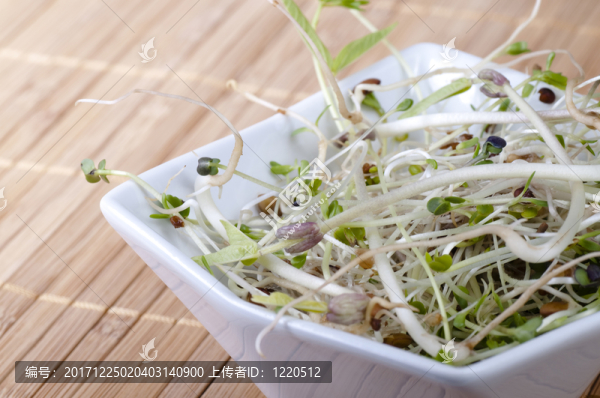 食物