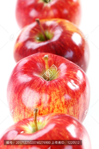 農(nóng)業(yè)