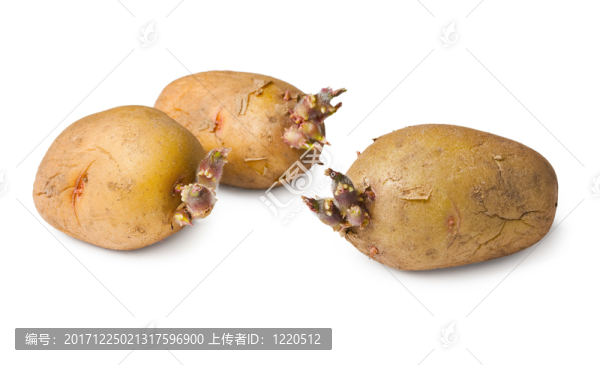 緊密的