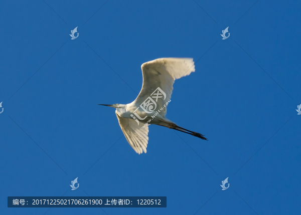 木頭支架