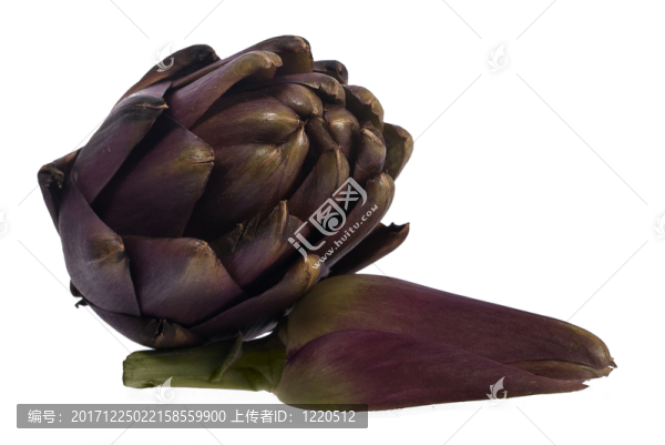 食物