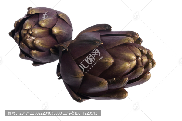 兩個(gè)關(guān)節(jié)頭
