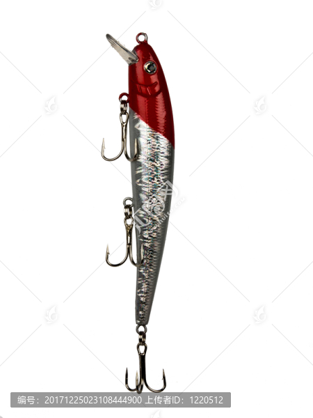 魚