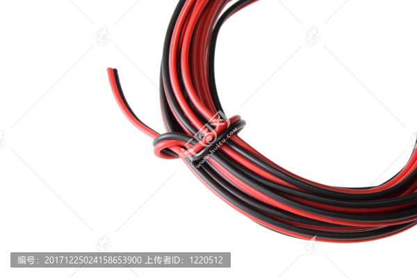 股（電子）