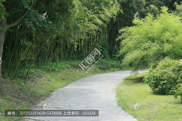 道路18