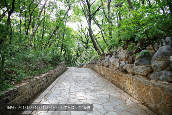 皇藏峪國(guó)家森林公園