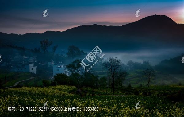 山村晨旭