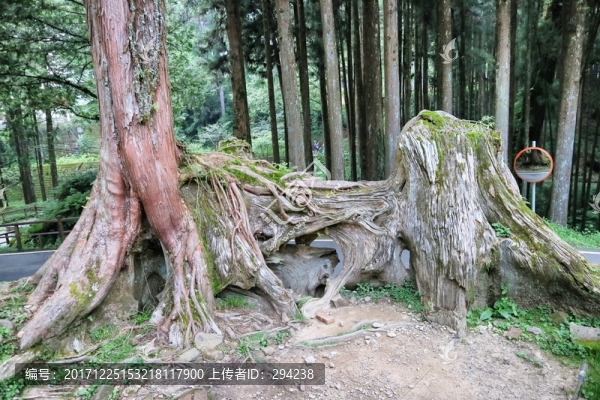 阿里山