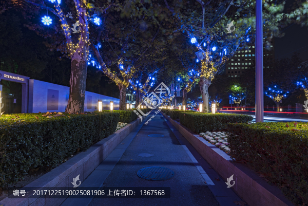 城市小路夜景