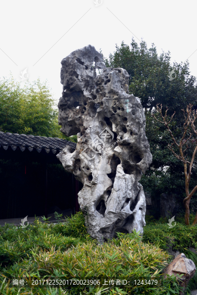 花石綱