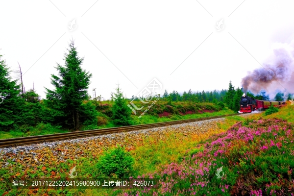 高山火車