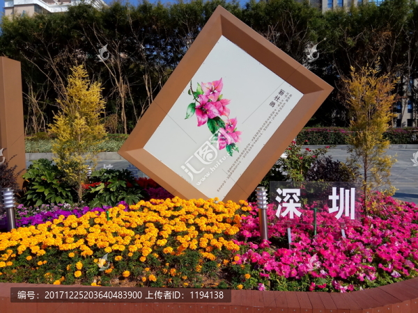 深州市花,簕杜鵑,園林景觀