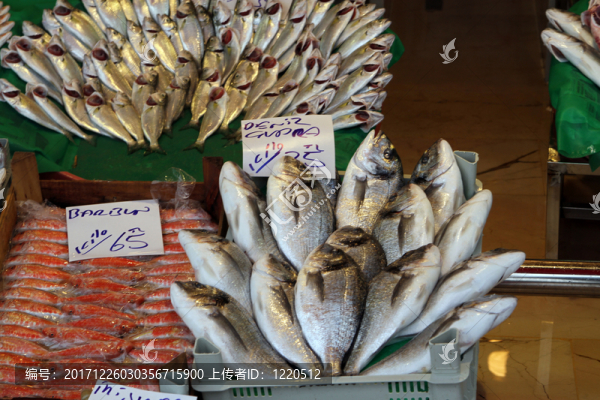 魚市場