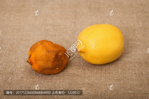 食物
