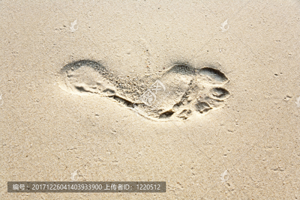 股