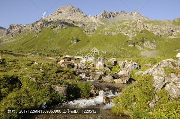 山