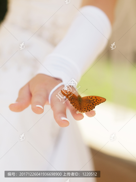 戒指