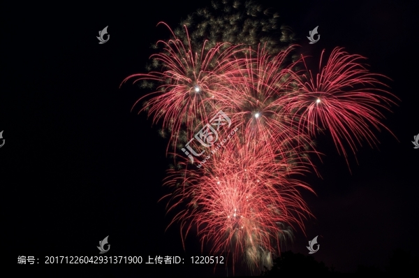 在交易中的煙花，春節(jié)