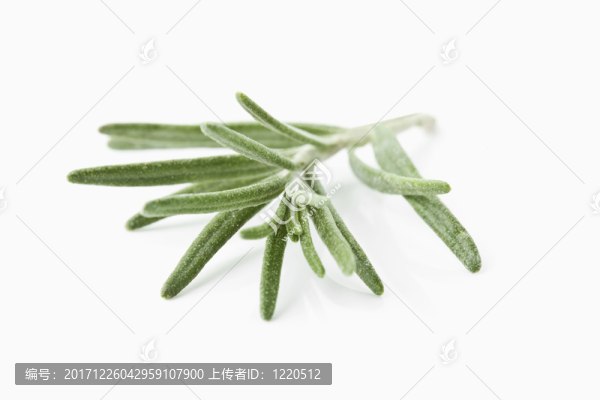 香料