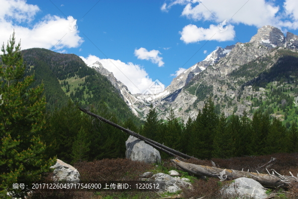 巖石巨石，原木，森林和大頓山，懷俄明州