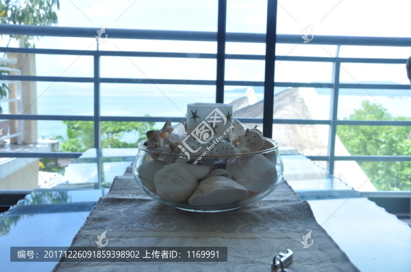 貝殼杯