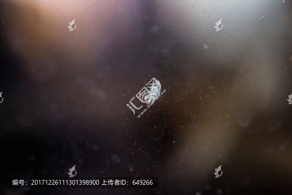 水虱