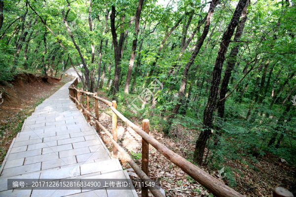 皇藏峪森林公園