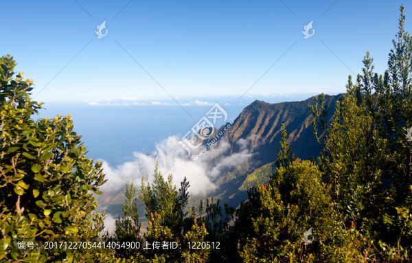 藍(lán)色