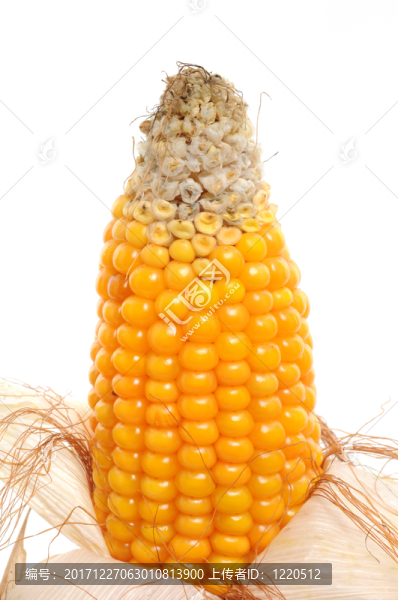 谷物