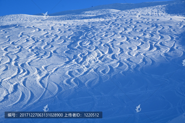 冬