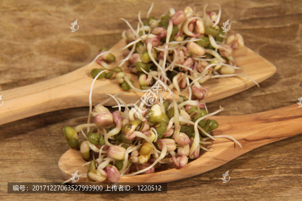 發(fā)芽綠豆