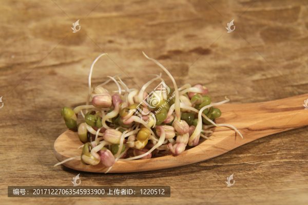 發(fā)芽綠豆