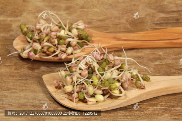發(fā)芽綠豆
