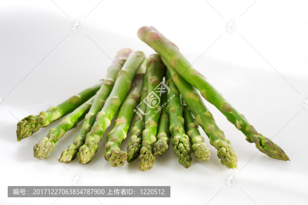 在白色背景的綠色蘆筍