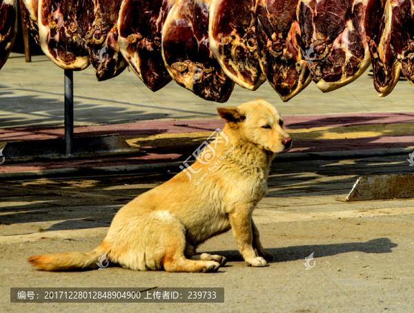 曬臘肉-匯圖網(wǎng) www.fosd68.com 曬臘肉