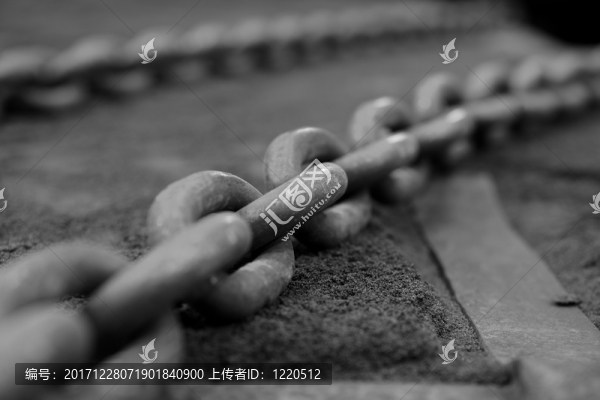 命令