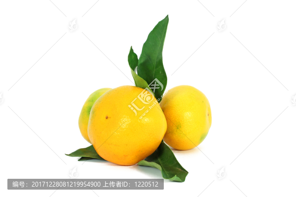 食物