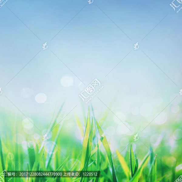 美國康復(fù)療法協(xié)會(huì)
