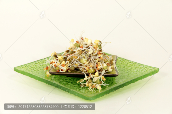 發(fā)芽蔬菜