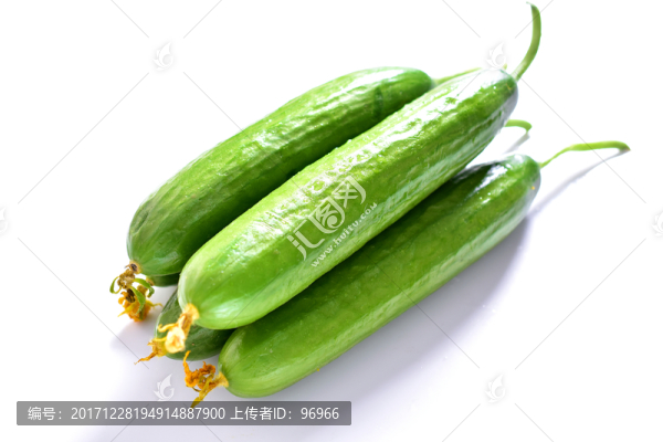 小黃瓜,黃瓜,營養(yǎng),新鮮,農(nóng)
