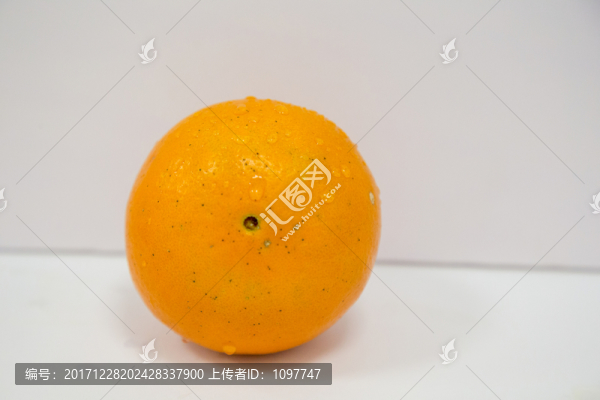 臍橙