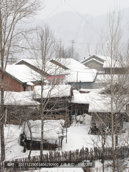 雪村