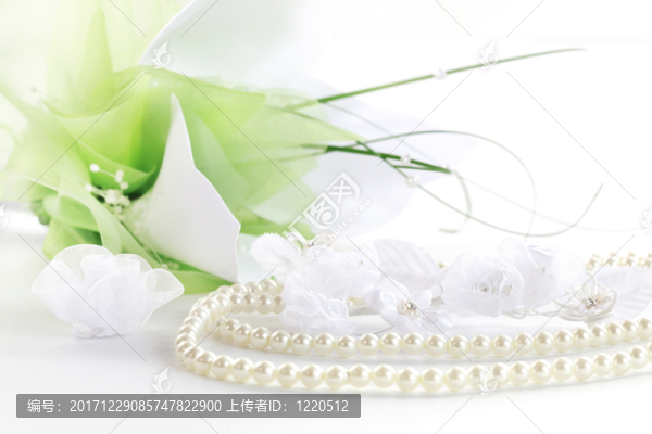 美麗的